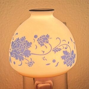 An Elegant wall plug in Night Light Porcelain, Hight quality!4.5”(H) x3.5”(L)